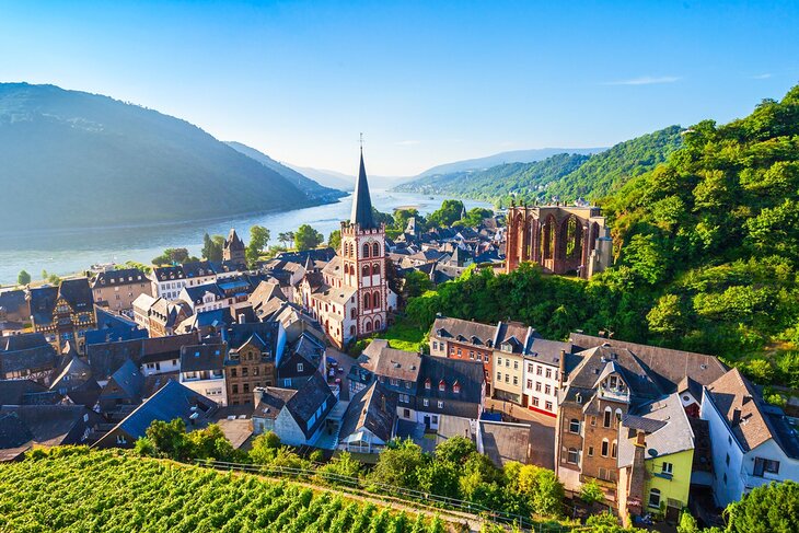 The Rhine Valley