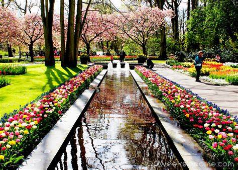 Keukenhof, Lisse